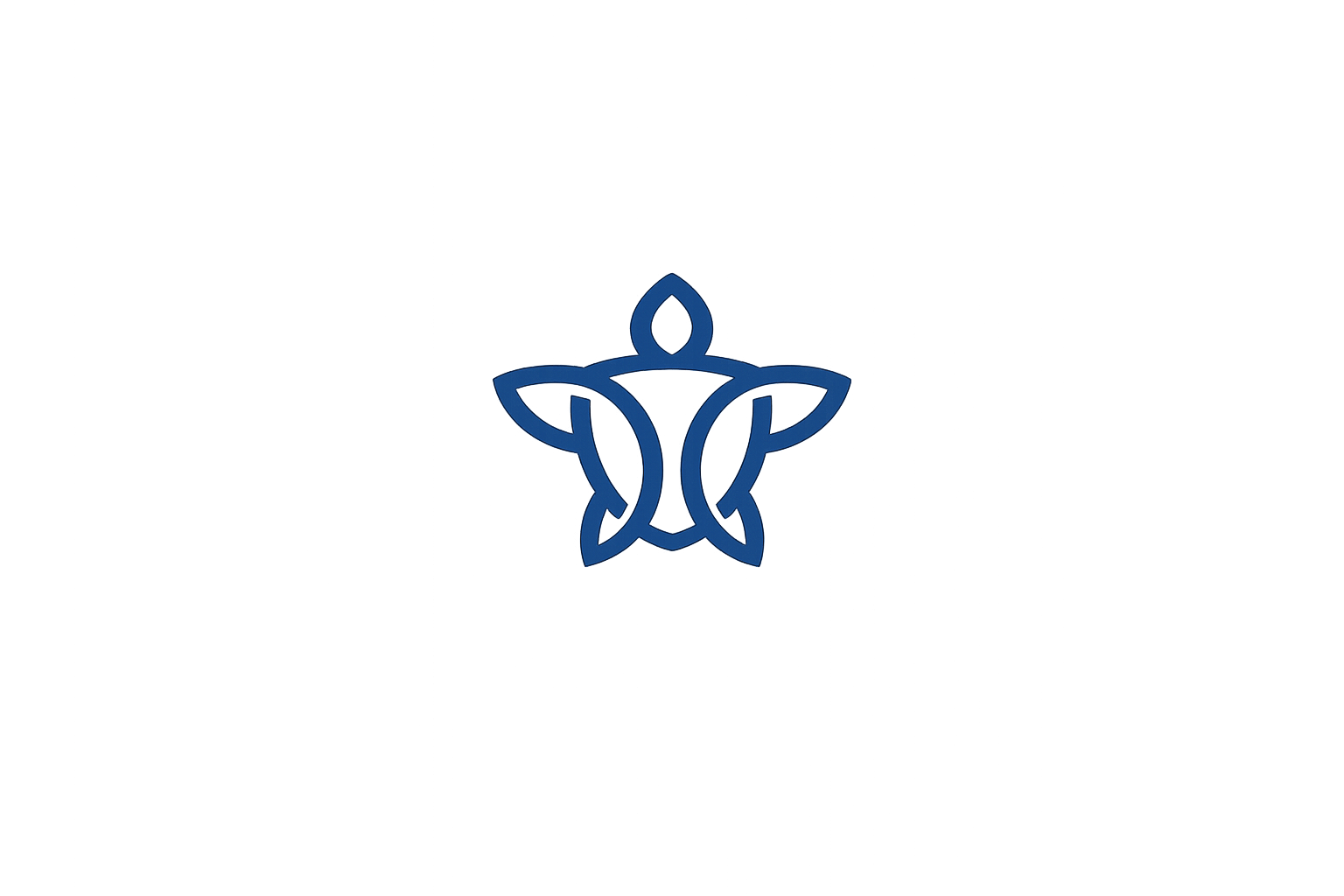 Primo Haven LLC logo